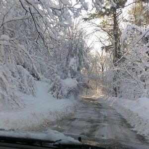 Meet your Posher, Andreia